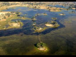 Delta Río Okavango, Botswana